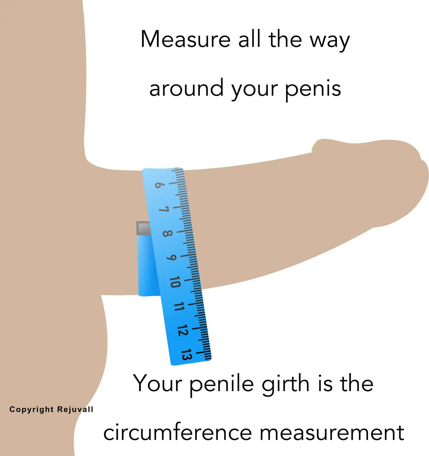 Is 6in Girth Above Average? Exploring Penis Girth Measurements