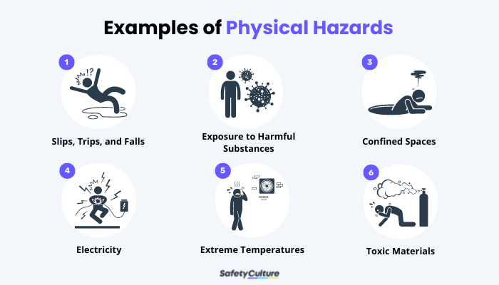 Comprehensive Guide to Physical Safety: Preventing Hazards and Violence