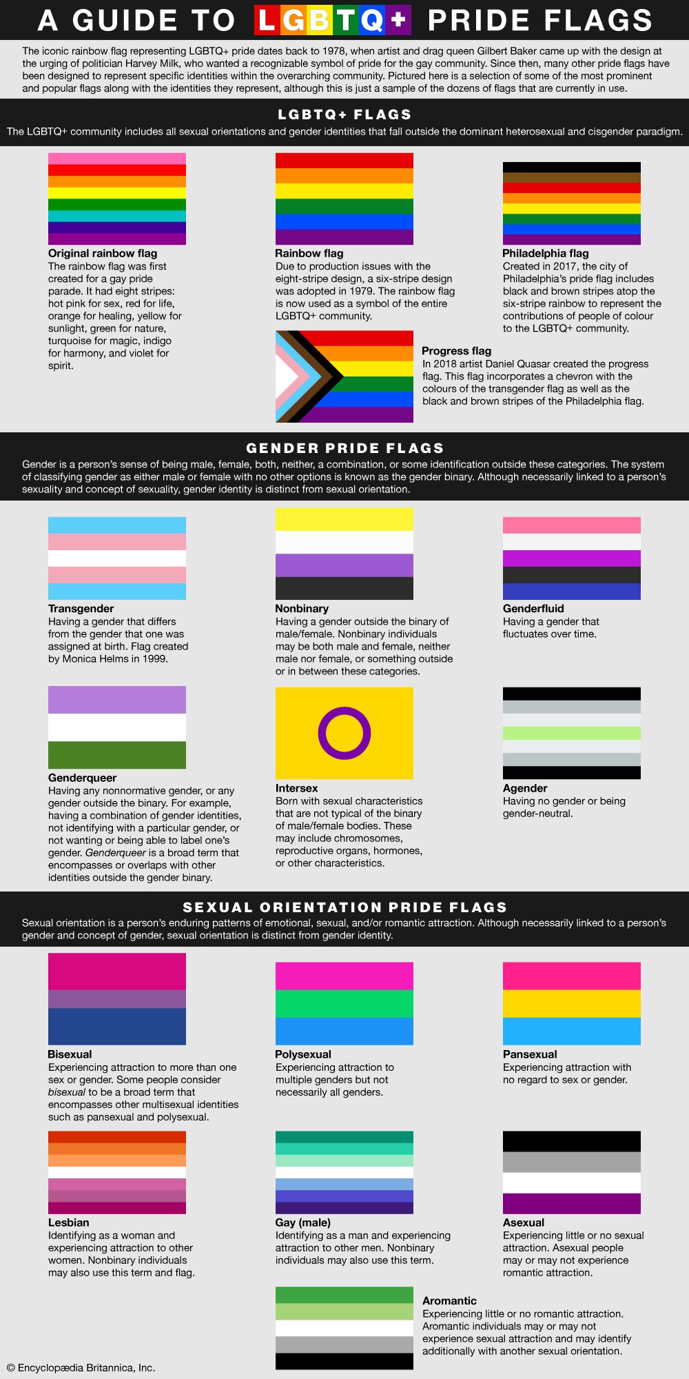 Understanding Sexual Orientation: Key Facts and Definitions