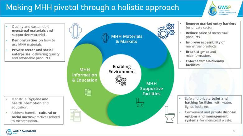 Menstrual Health and Hygiene: Key Issues and Global Solutions