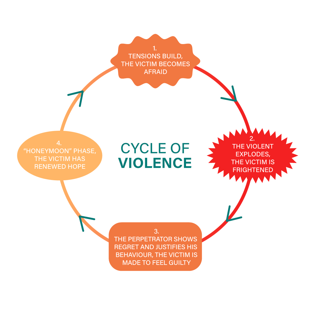 Understanding Intimate Partner Violence: Causes and Effects