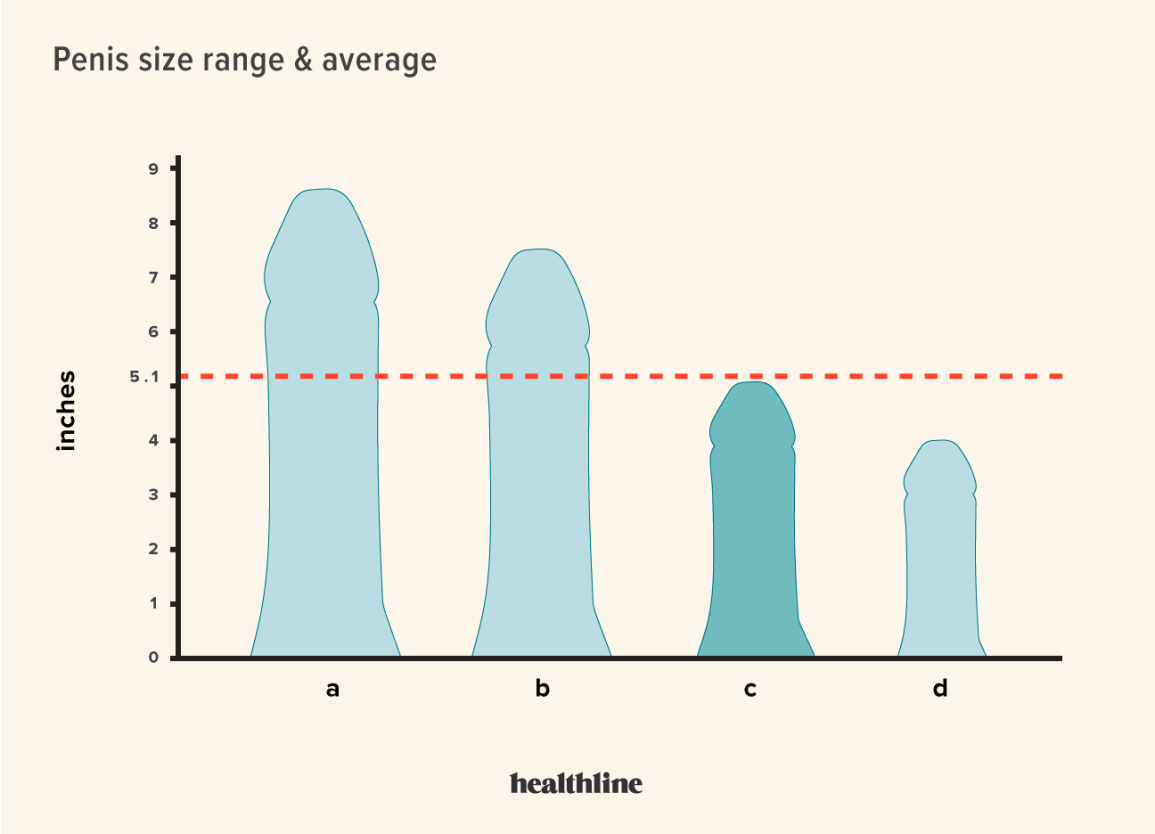 Is 6in Girth Above Average? Exploring Penis Girth Measurements