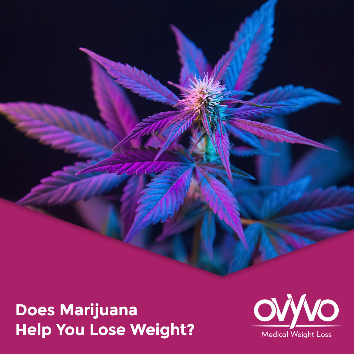 Does Smoking Weed Help You Lose Weight? The Truth Revealed