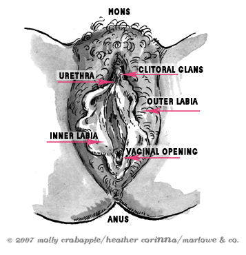 Outie vs. Innie Vaginas: A Guide to Anatomy and Self-Acceptance