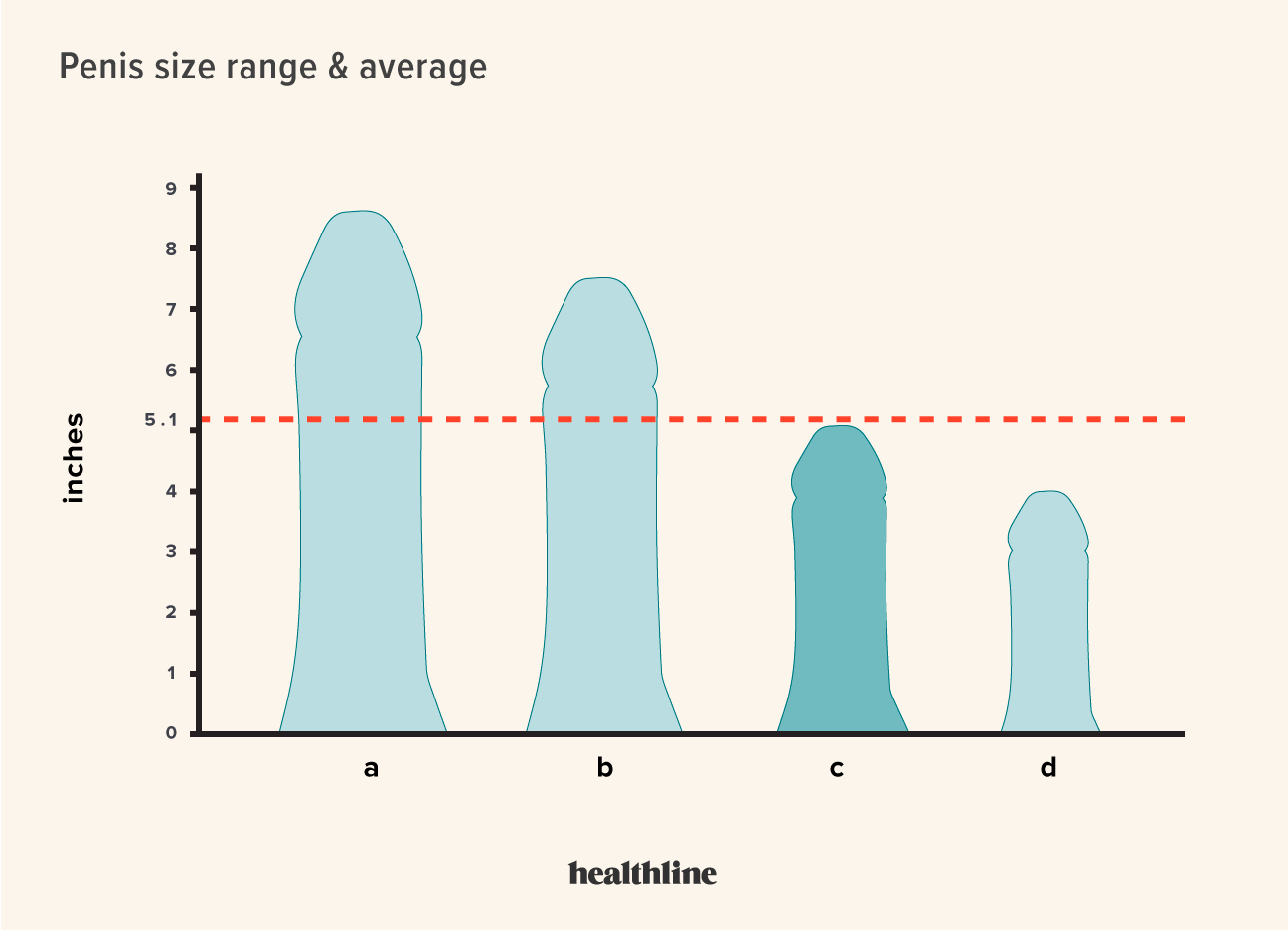 Is 6 Inch Penis Normal? Exploring Average Penis Size