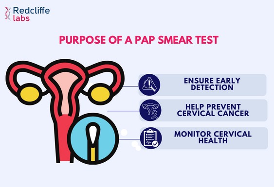 Whats the Pap Smear Test Price? Get the Details Here!