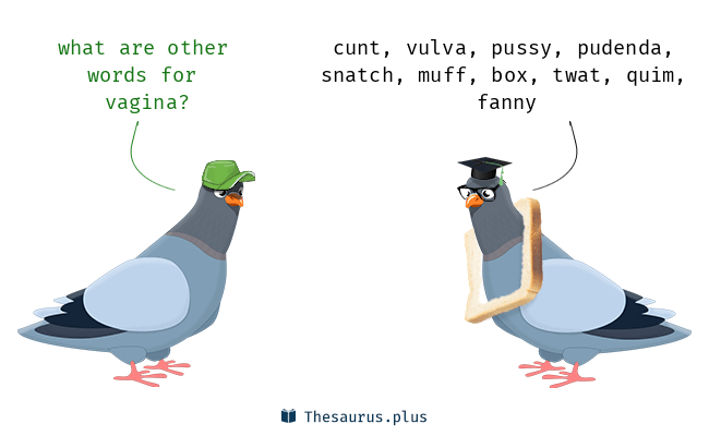 What Are Other Words for Vagina (Exploring Different Slang and Terms)