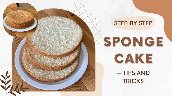 What is the Sponge Method? Check Out the Best Tips and Tricks for Beginners!