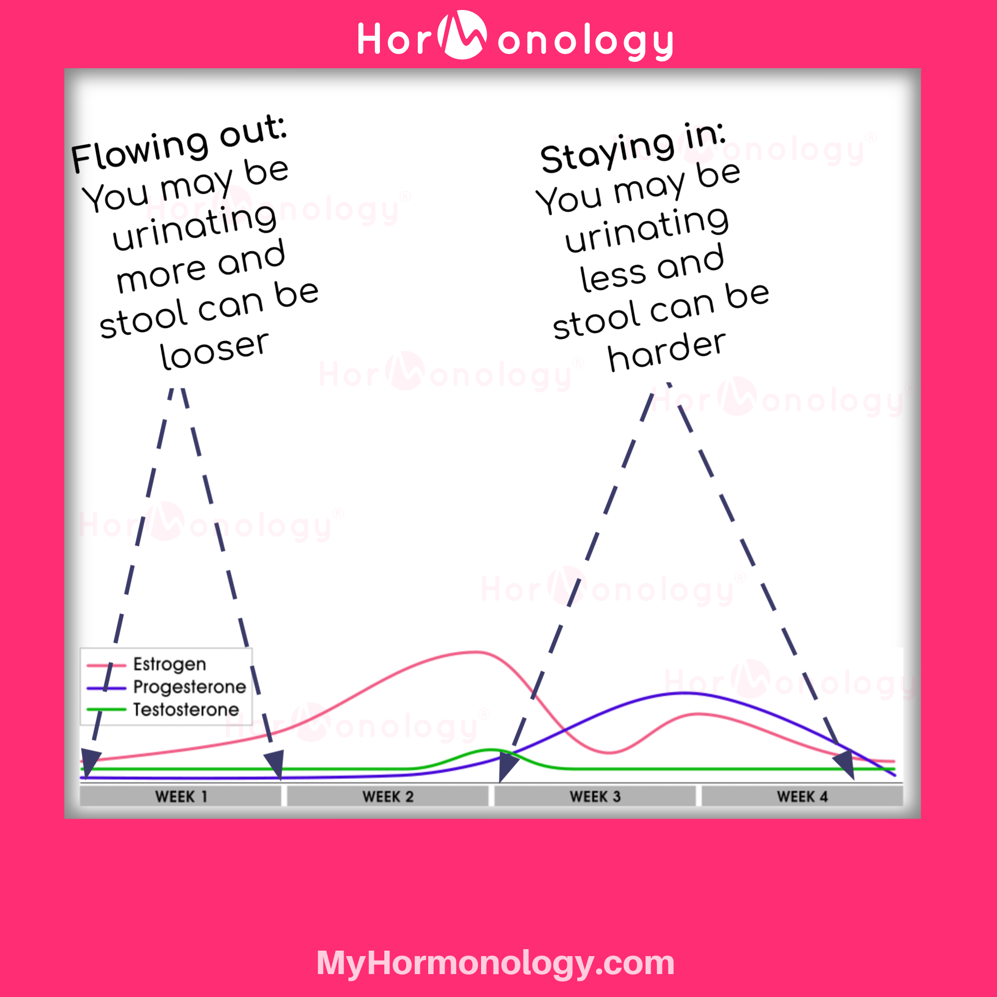 Peeing Alot Before Period: When to See a Doctor
