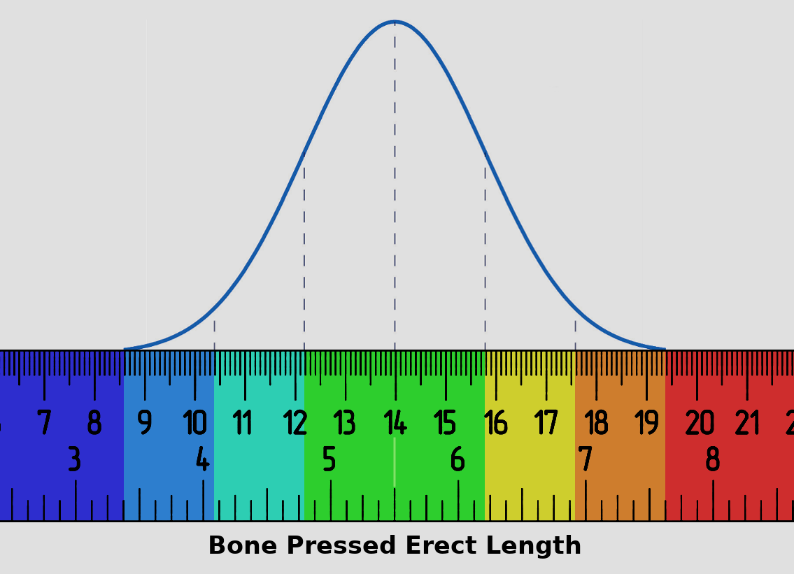 Is 6 Inch Penis Normal? Exploring Average Penis Size
