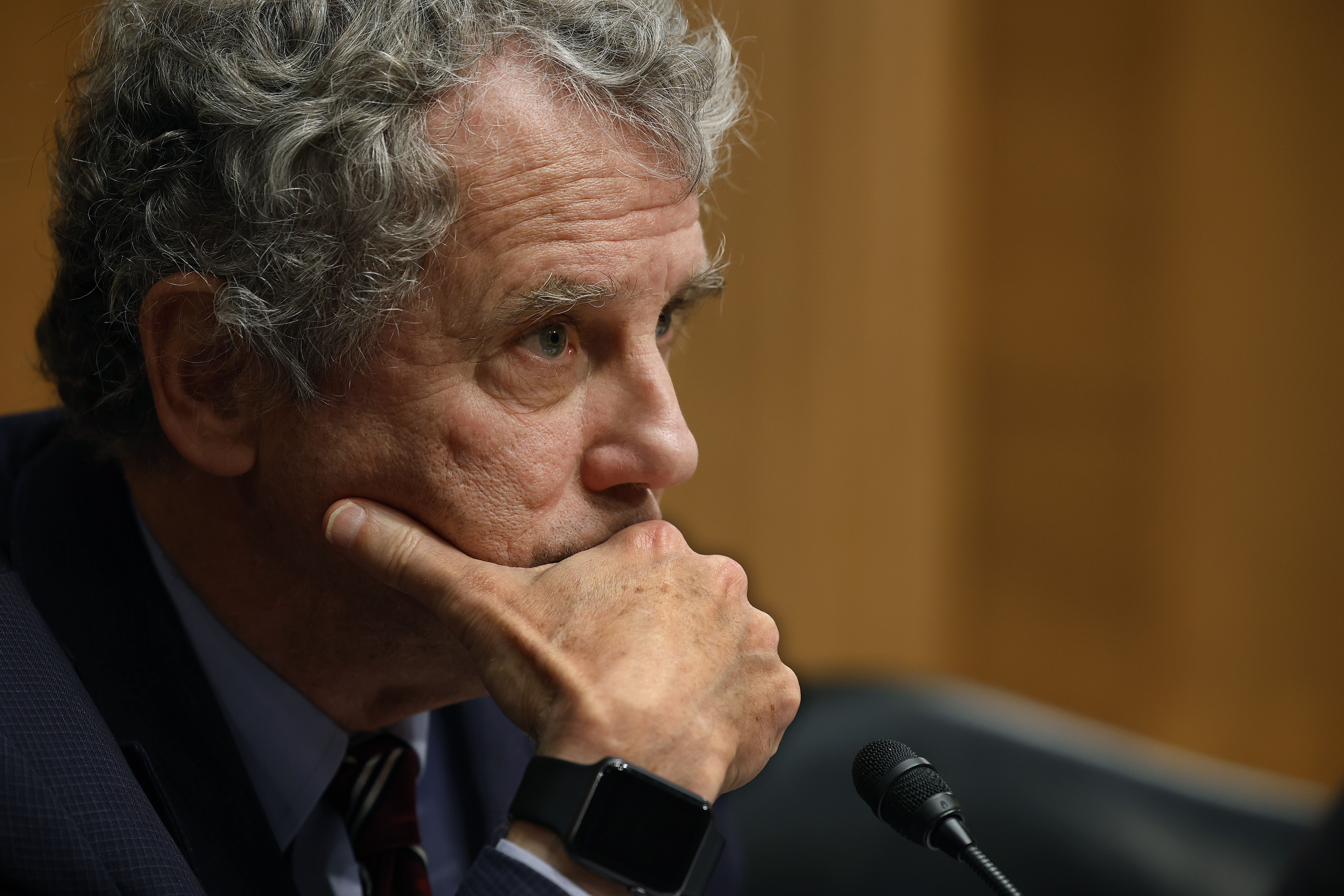 Sherrod Brown Trans? Simple Guide for Everyday People