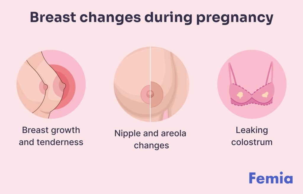 Pink Nipples During Pregnancy: What to Expect