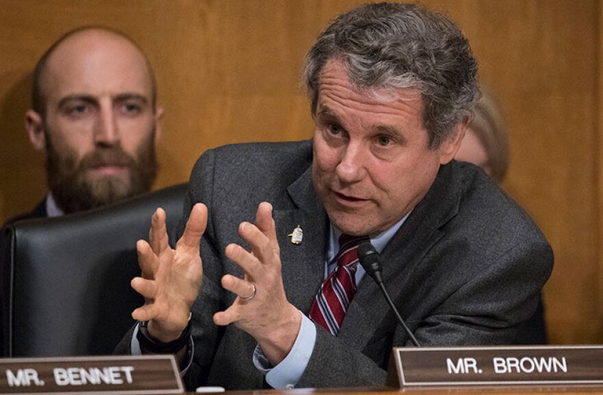 Sherrod Brown and transgender issues (everything you should know)