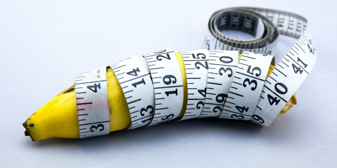 8 inch penic: Everything you need to know before you buy it