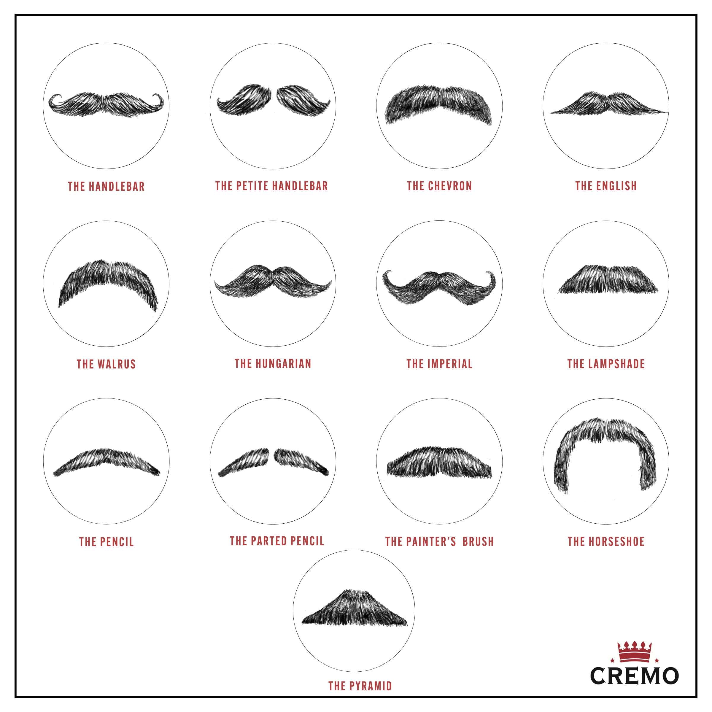Tread Mustache Styles for Men: How to Choose? Explore Different Looks Here