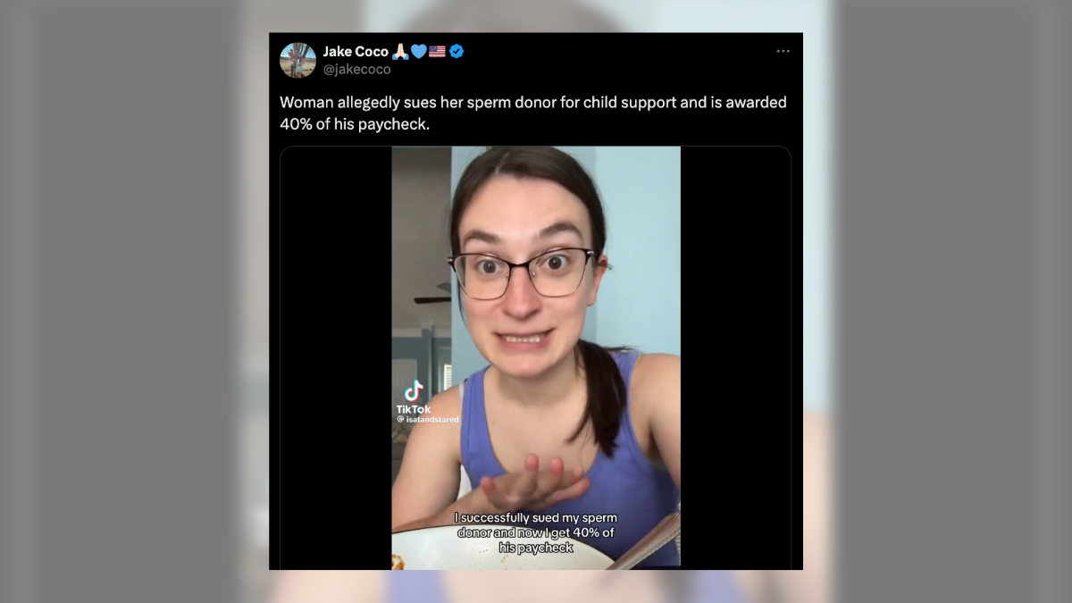 Woman Sues Sperm Donor for Child Support: What You Need to Know About This Crazy Case.