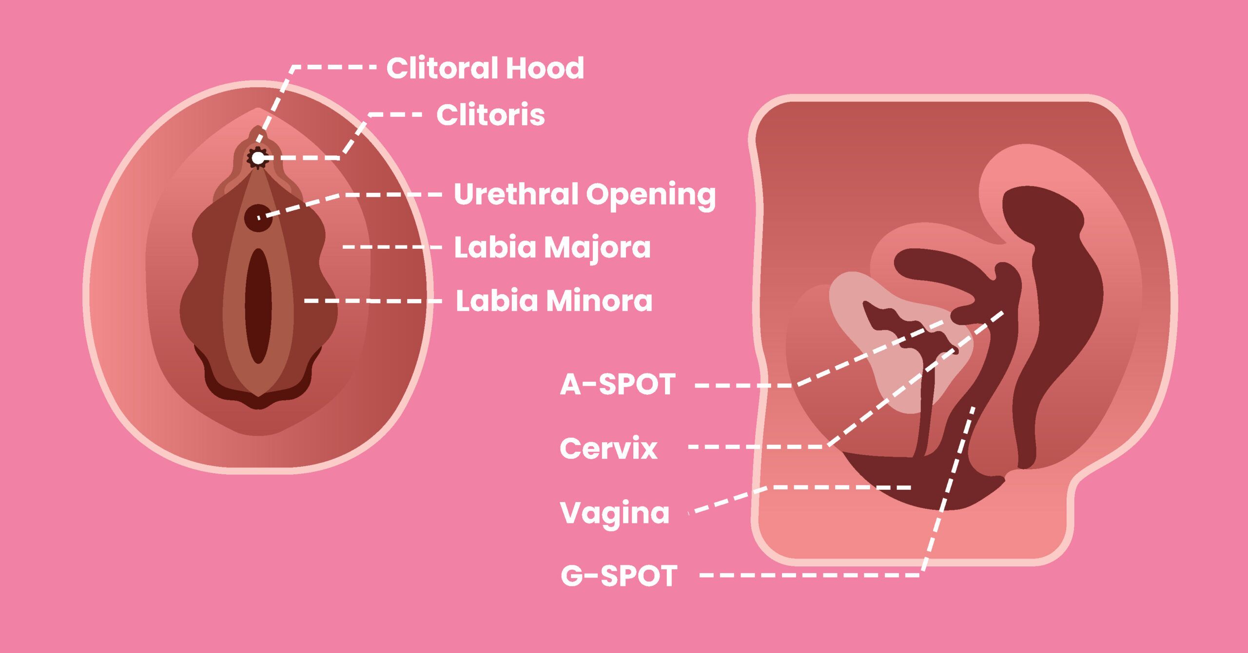Fingering a Girl: What It Is and How to Do It Right