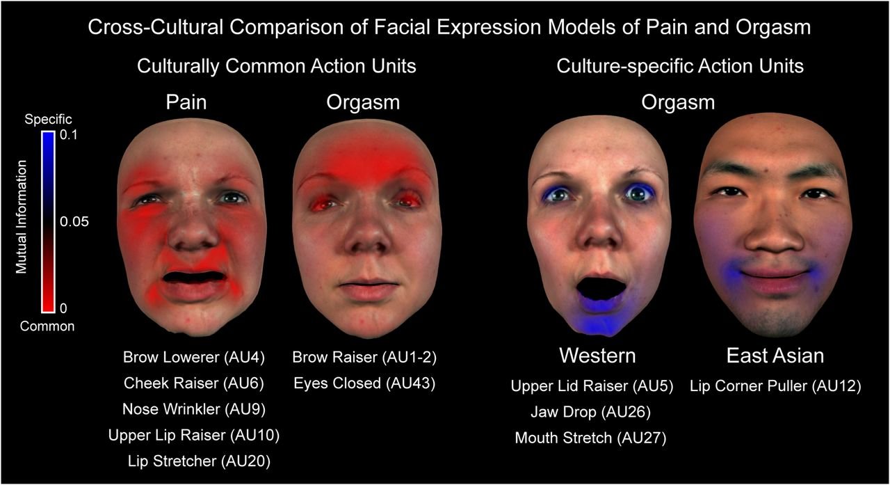 Orgasm Face Explained: What Does It Really Look Like?