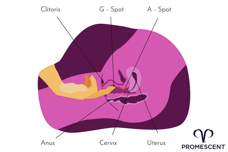 How to Masturbate: Easy Steps for Pleasure, Plus How to Find Your G-Spot
