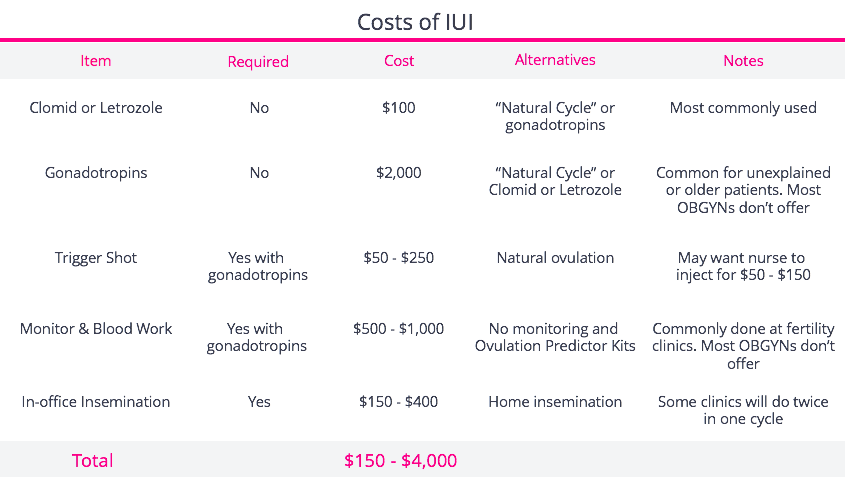 How Much Does IUI Cost With Insurance? A Simple Guide