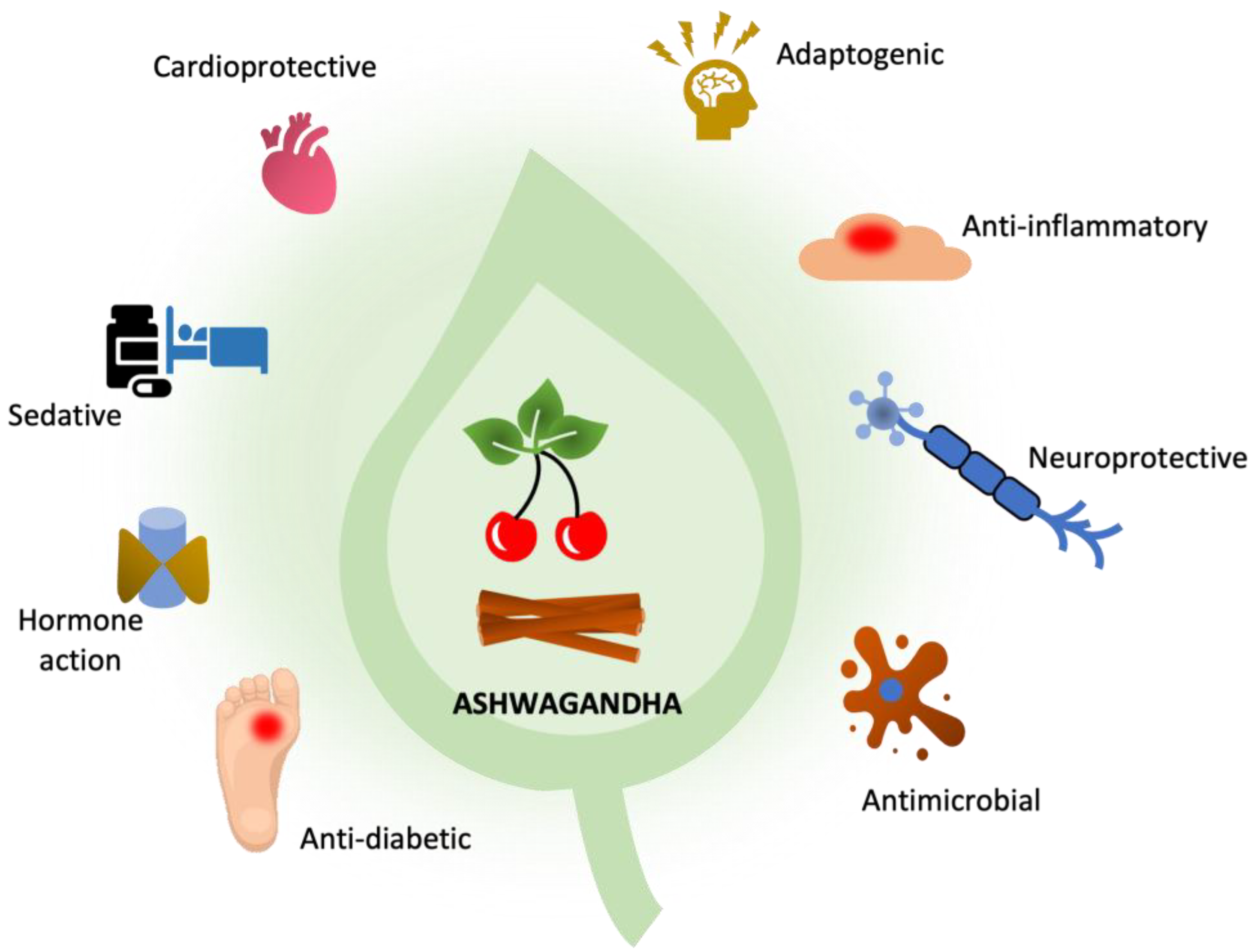 Does Ashwagandha Affect Birth Control Effectiveness? Find Out Today!