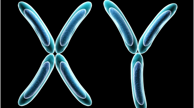 Understand Whats Ventures Biological Sex: A Simple Guide