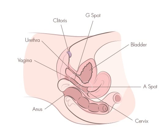How to make myself cum better? Discover new techniques and positions for an intense pleasure