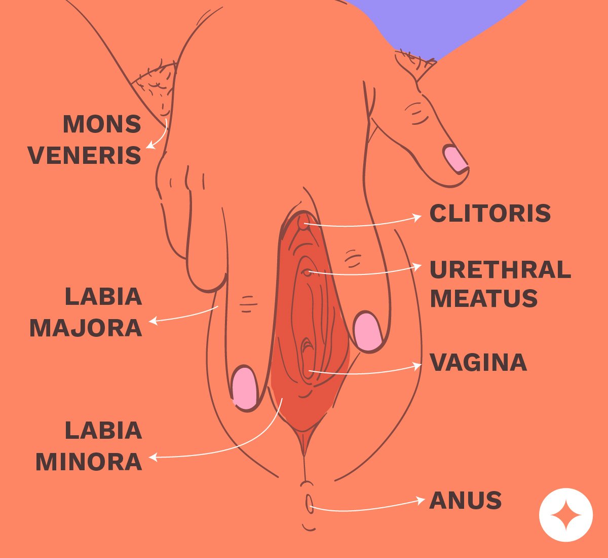 Learn Clitoral Edging: A Guide to Solo and Partner Play