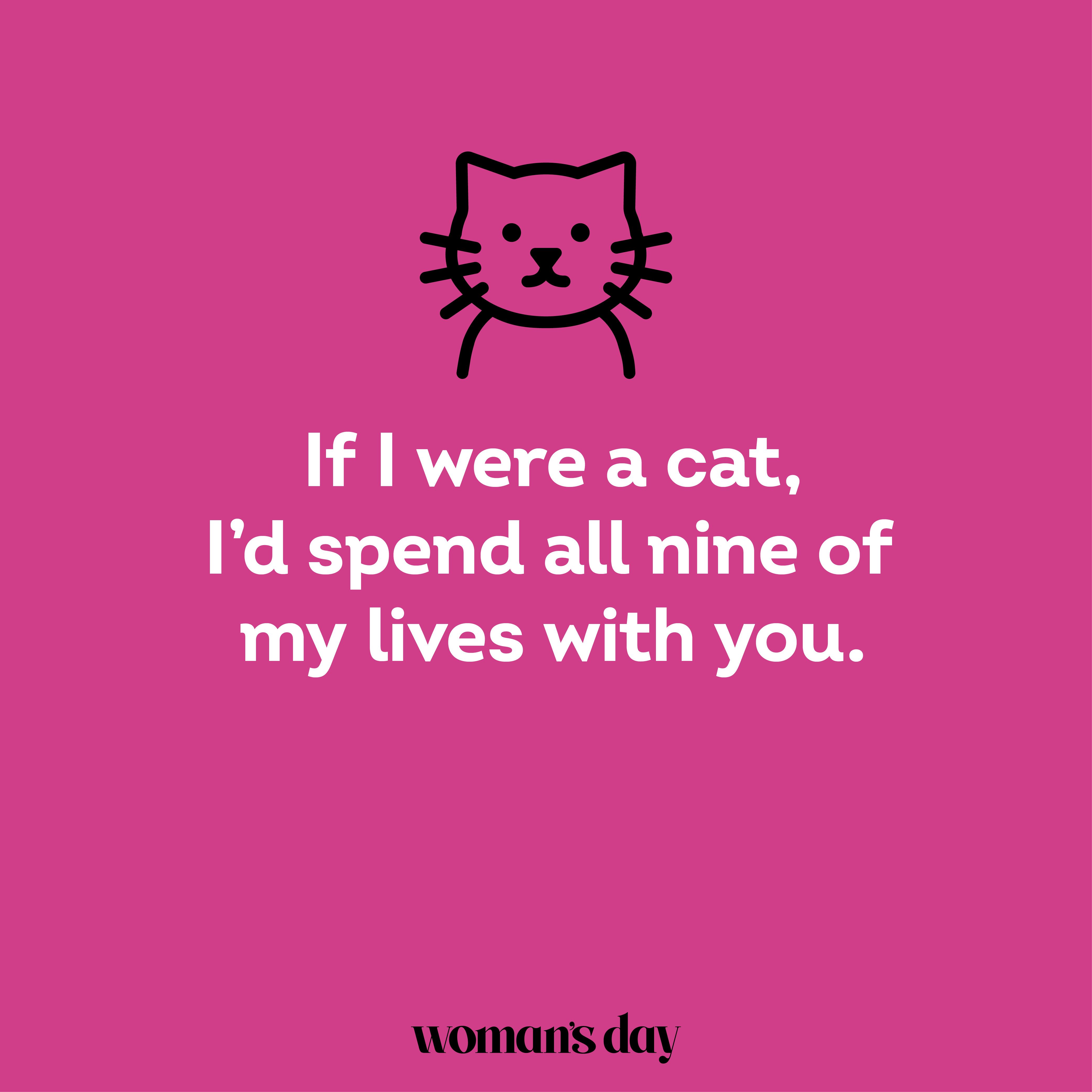 The Best Wild Pick Up Lines for a Fun Time(Easy Ways to Start a Chat)