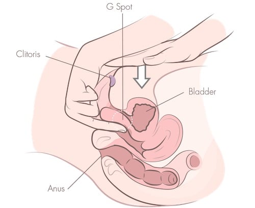 Want to Know How to Finger Yourself? Follow This Simple Guide for Beginners!