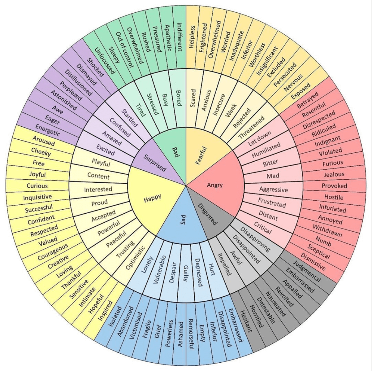 Meta-Emotion Explained: A Simple Guide to Understanding Your Emotions