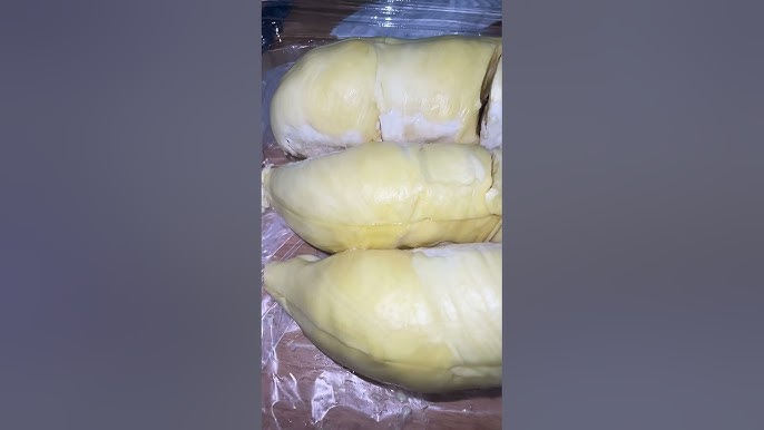 durian lollobrigida is it really worth the hype