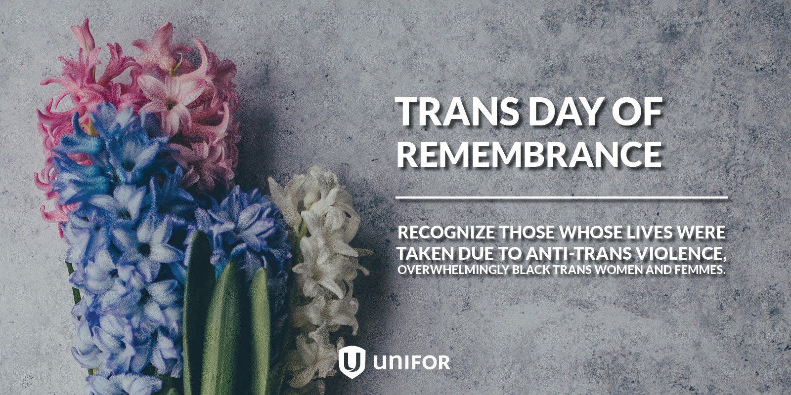 Transgender Day of Remembrance 2023 Canada: Vigils and Support