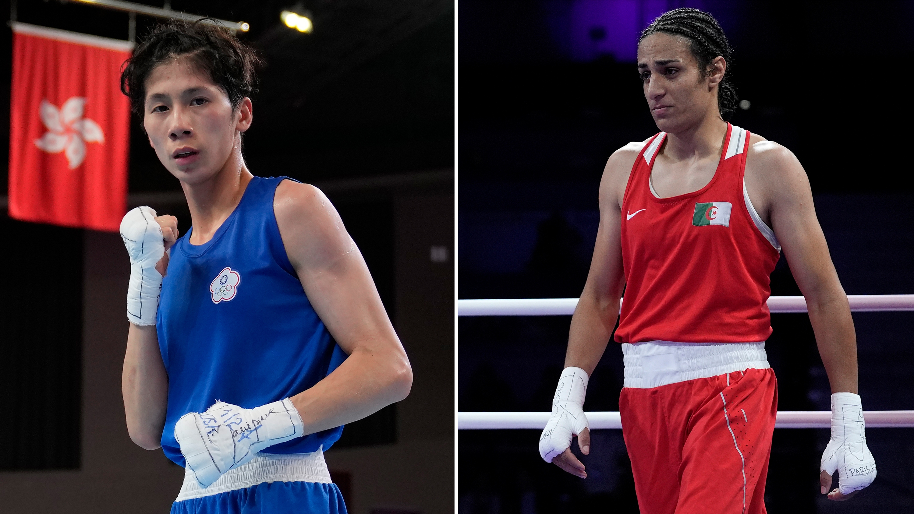 Is the Boxer a Man or Woman? Lets Find Out the Facts