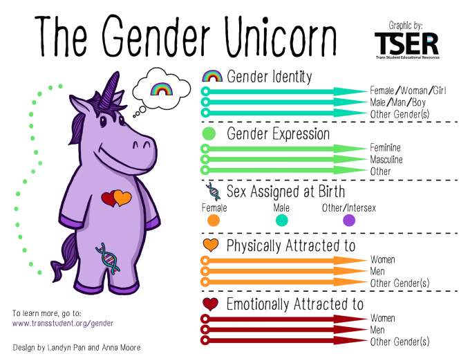 If Youre Trans But Like Boys, Are You Gay? Simple Answers
