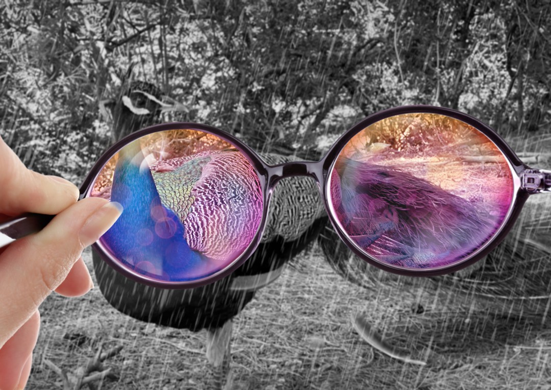 Understand Rose-Colored Glasses Meaning in Relationships (Learn to See Your Partner Clearly)