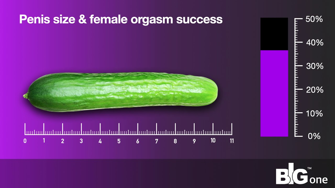 How Big is 8 Inches? Is It Really a Big Dick Size