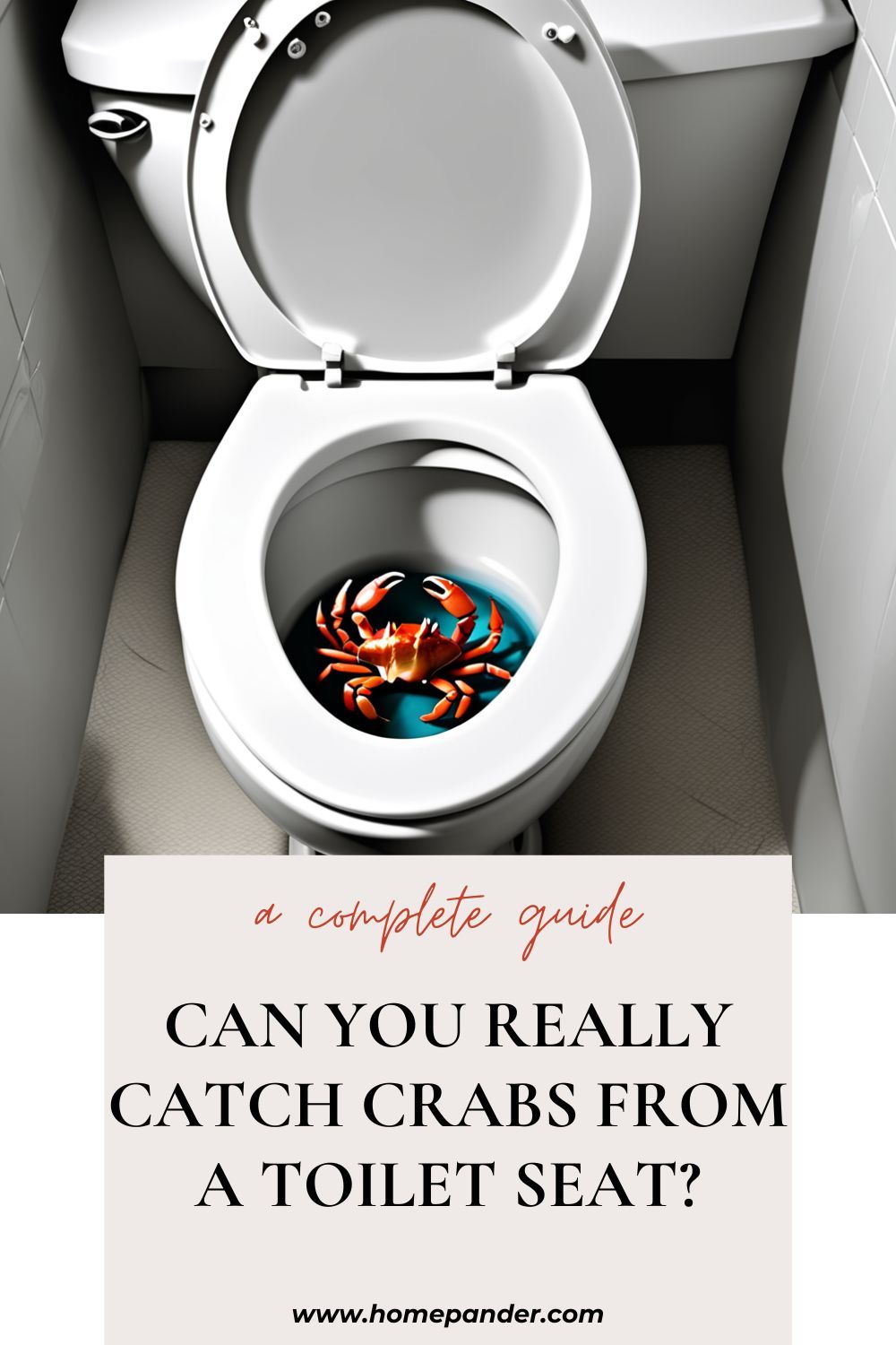 Can You Really See Crabs on a Toilet Seat? Lets Debunk This Myth!