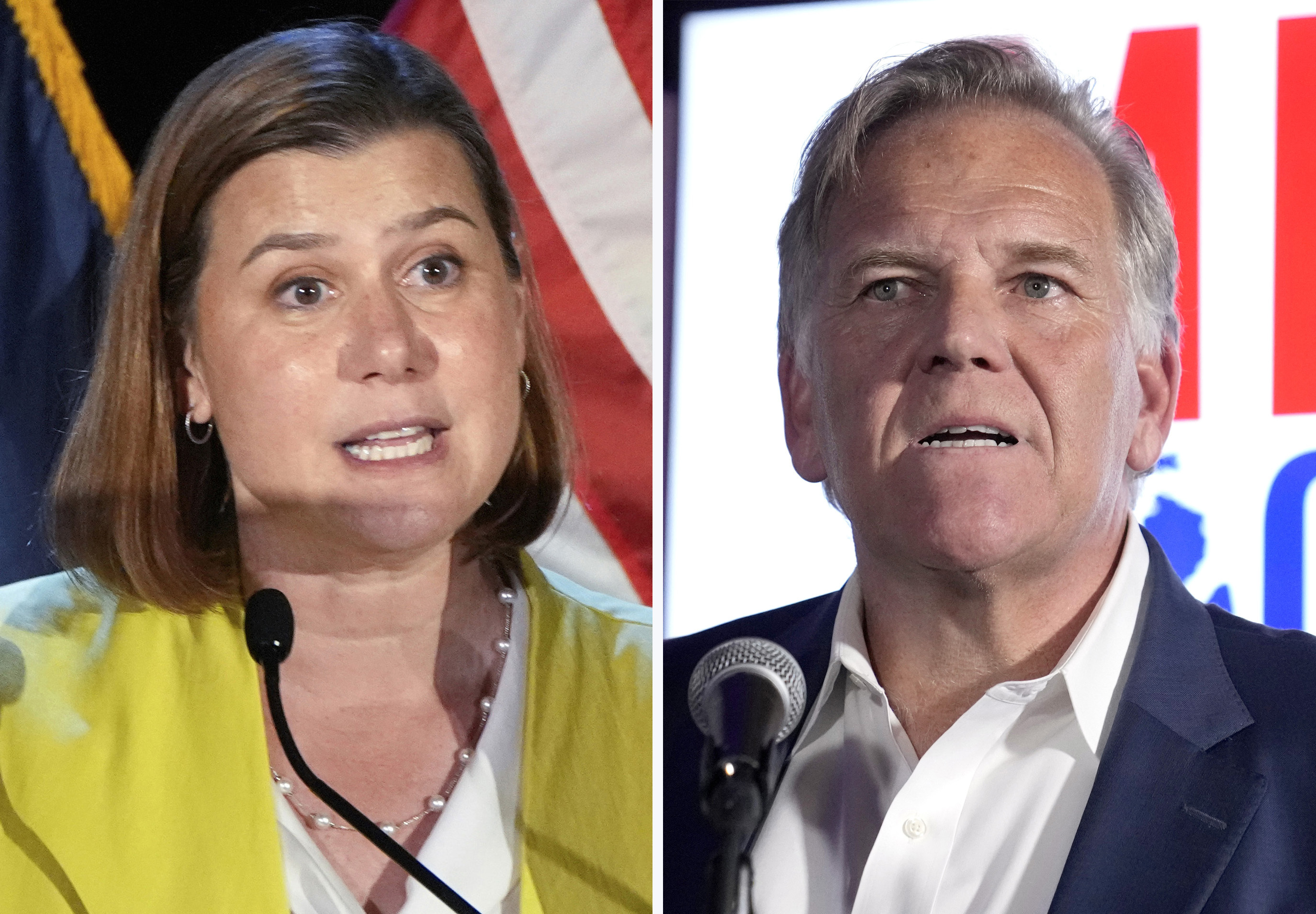 Your Guide to the Candidates for Senate in Michigan: (Learn About the Key Players in This Important Race)