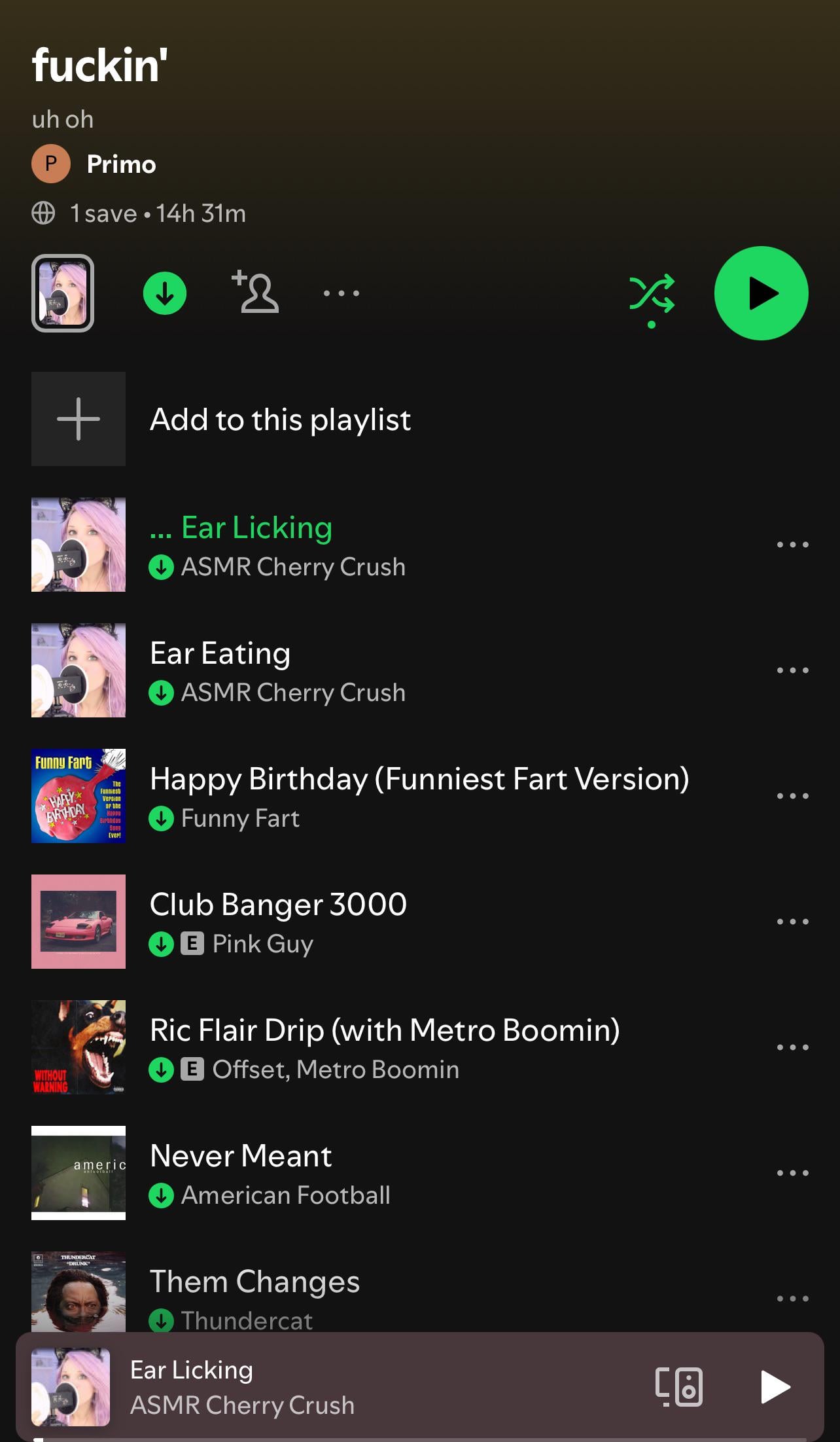 Horrible Songs to Fuck To: A Guide to The Worst Possible Soundtrack