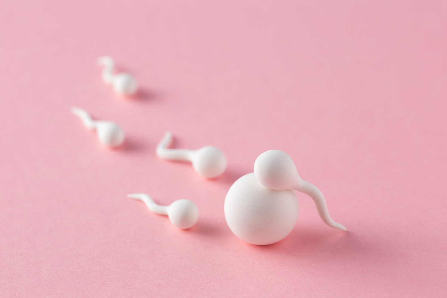 Can Swallowing Sperm Make You Pregnant? Separating Fact From Fiction.