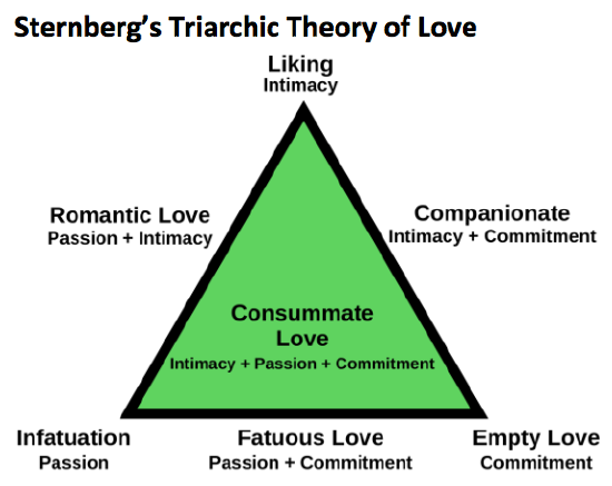 The 3 Stages of Love Psychology: Find Out How Love Evolves Over Time!