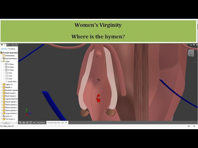 Girl loses virginity: How it happened and what to expect next.