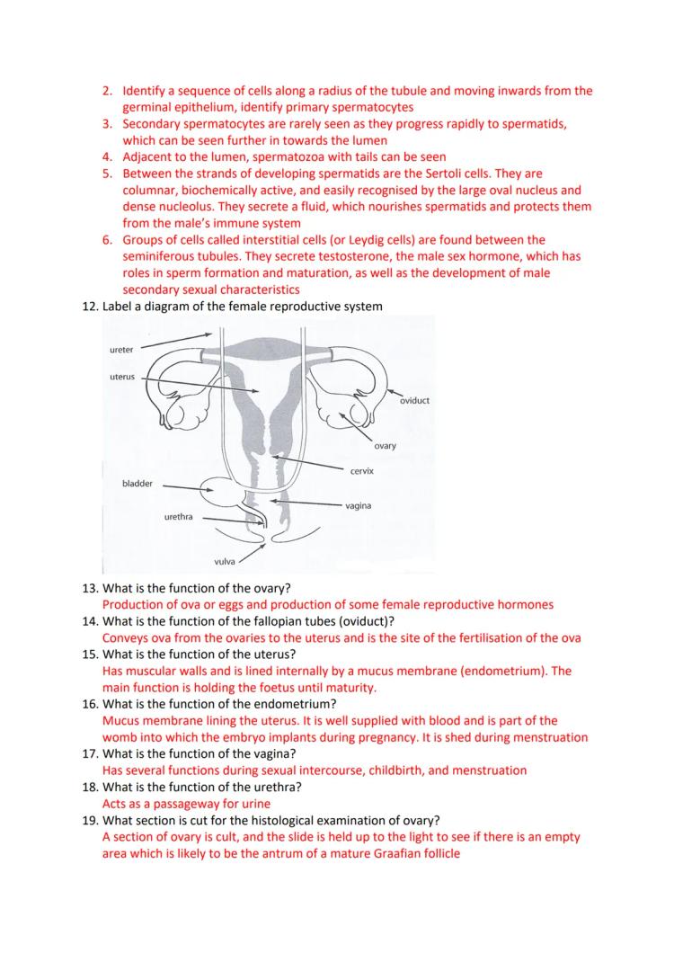 Reproduction for beginners: Questions to ask about reproduction to better understand it!