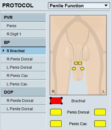 Do Penis Have a Heartbeat? What Experts Say About Penile Pulse!