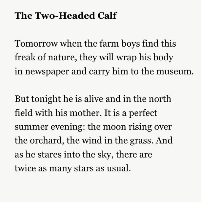 So Similar Theyre Identical: How Things Get to the Point That They Cant Tell Each Other Apart