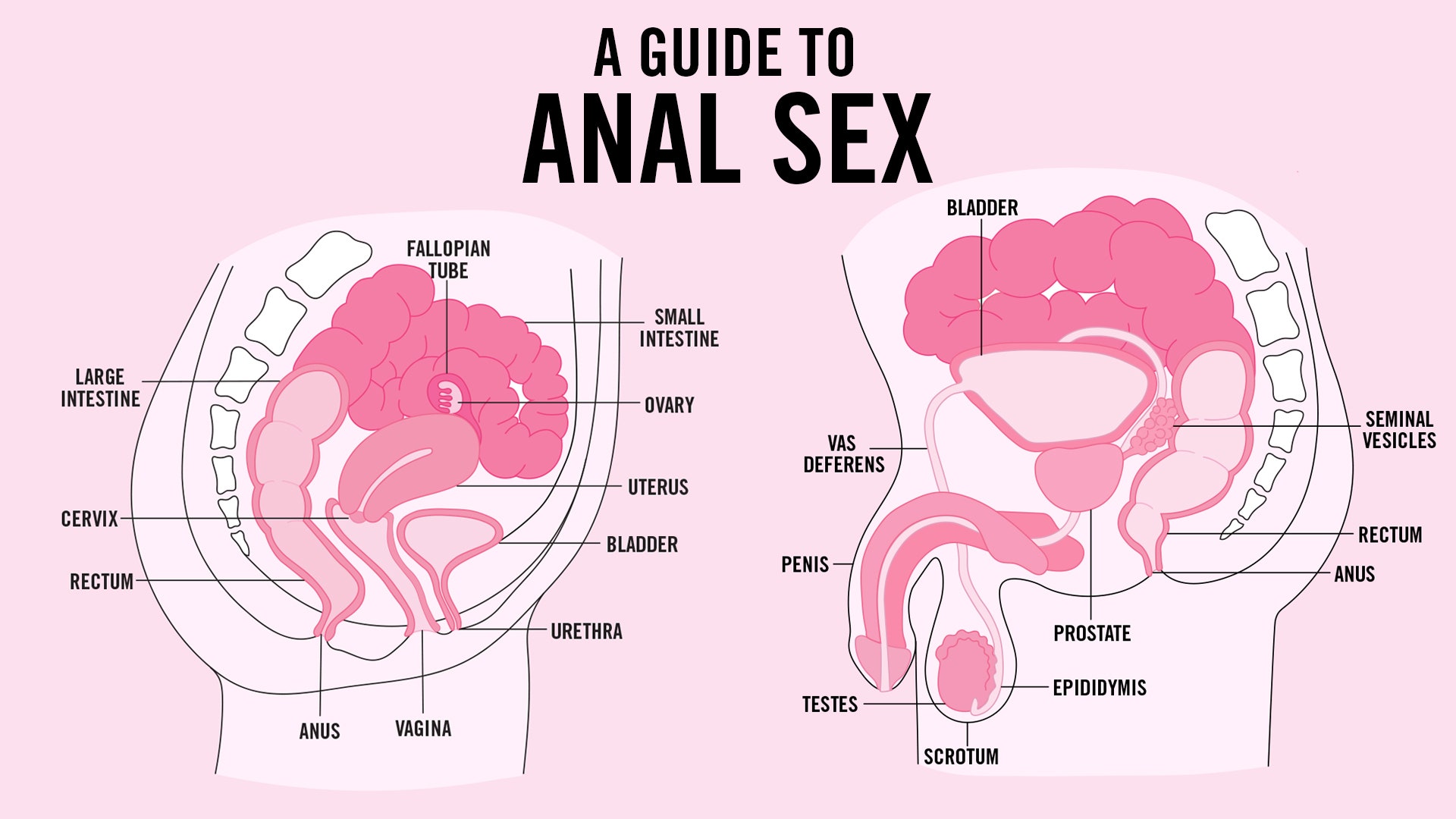 How to Do It Anal? A Beginners Guide to Anal Sex That Feels Good and Safe.