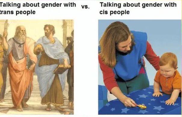 Talking about gender with trans vs cis people meme why are the discussions so different