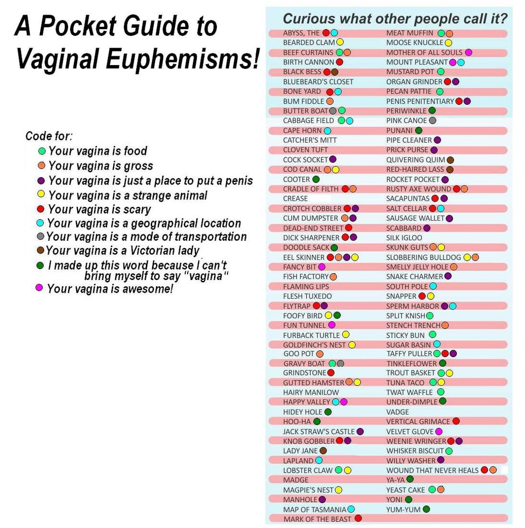 What Are Other Words for Vagina (Exploring Different Slang and Terms)