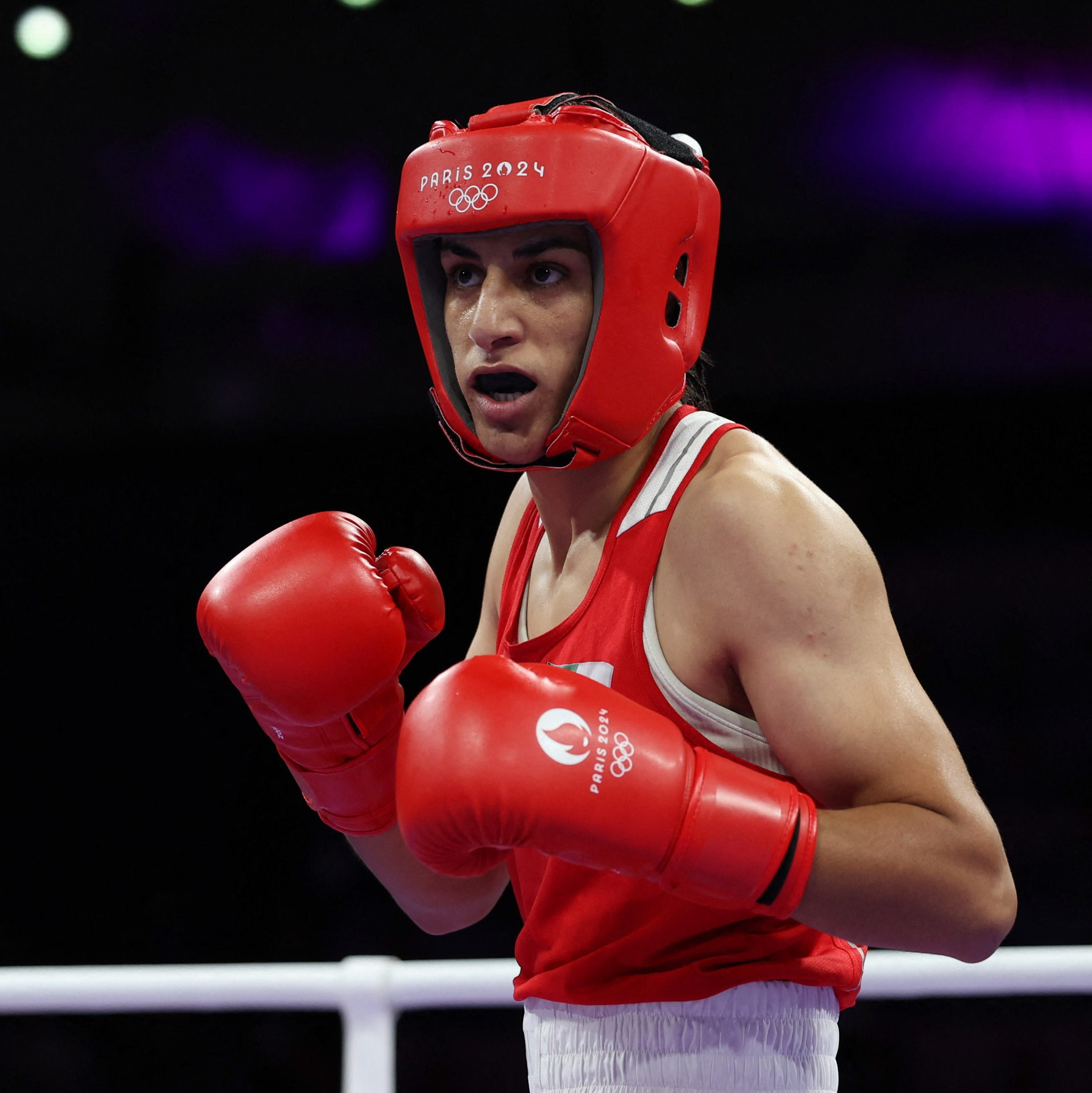 Is the Boxer a Man or Woman? Lets Find Out the Facts
